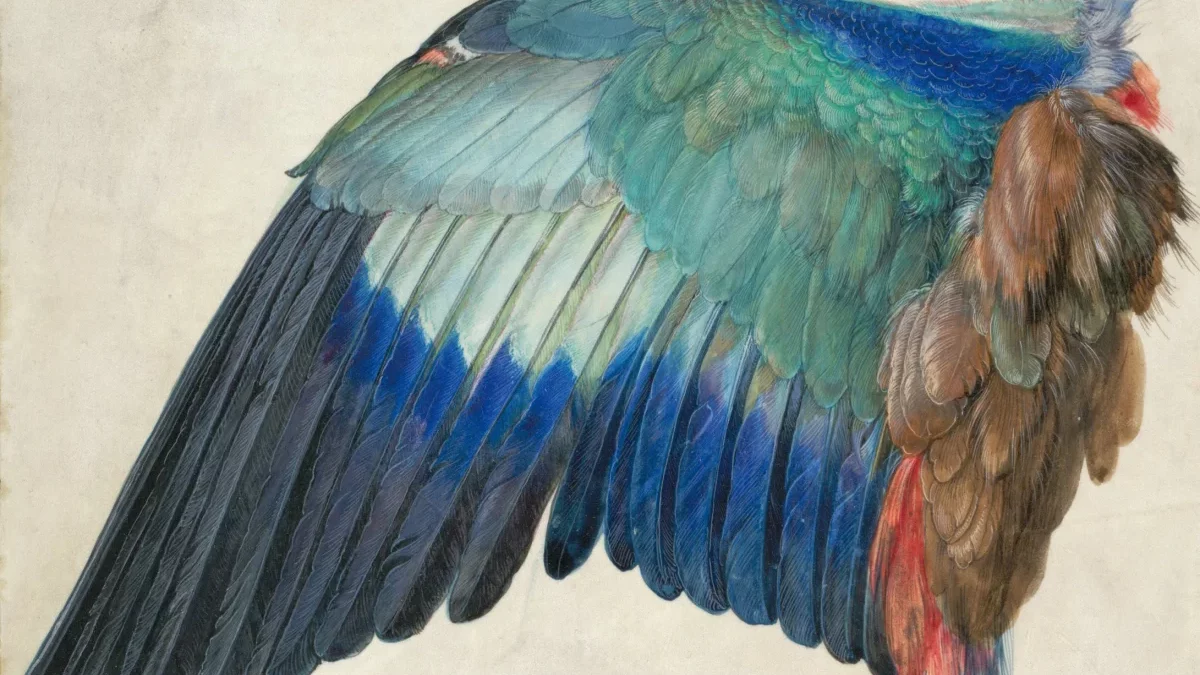 BIRD/TH