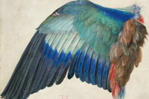 BIRD/TH